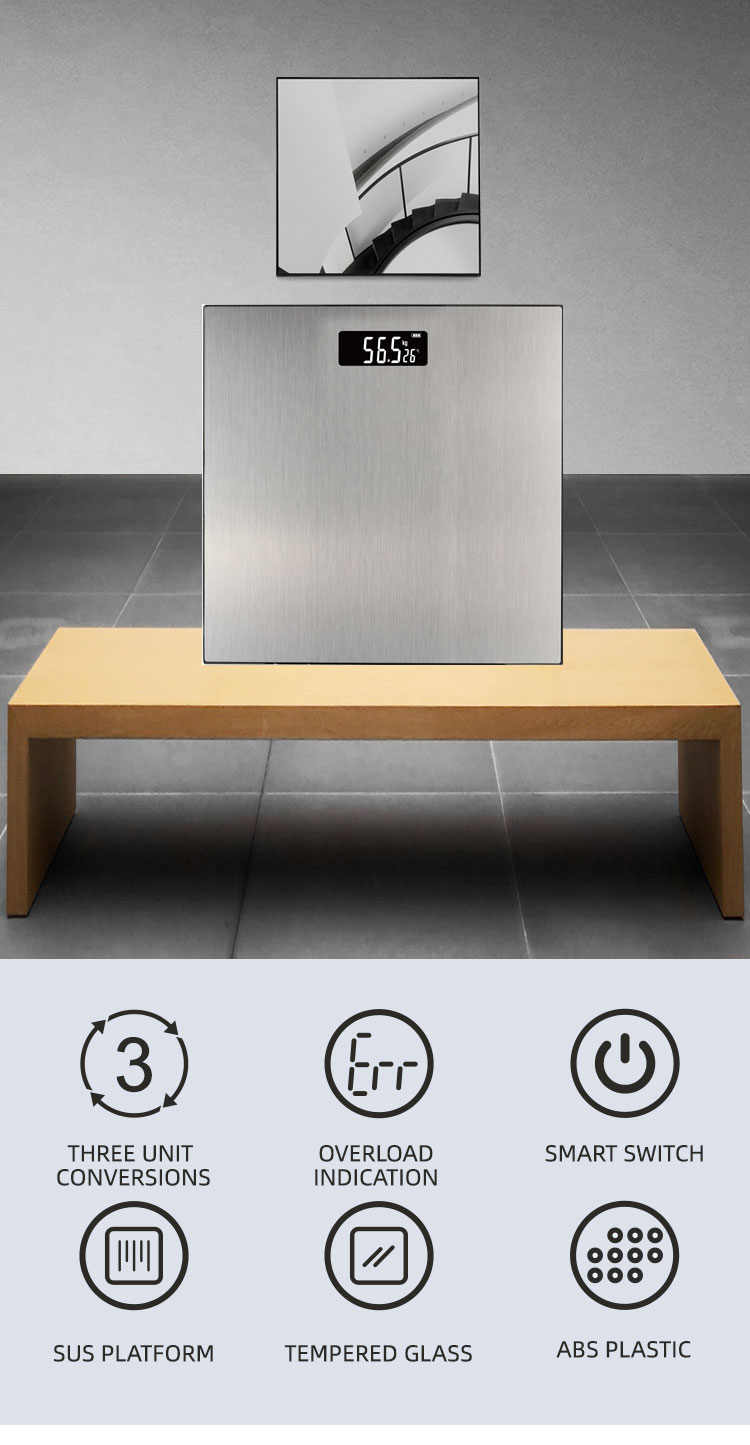 stainless steel scale